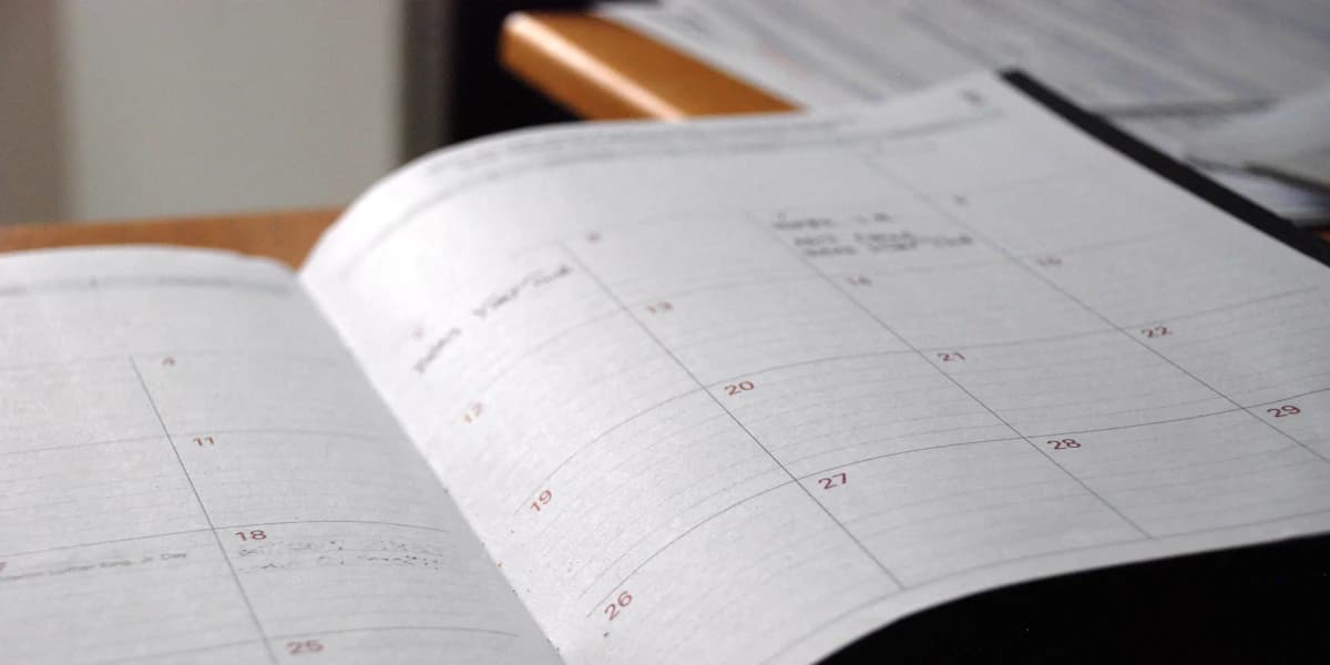 Booking system: a ready-made tool or a custom one