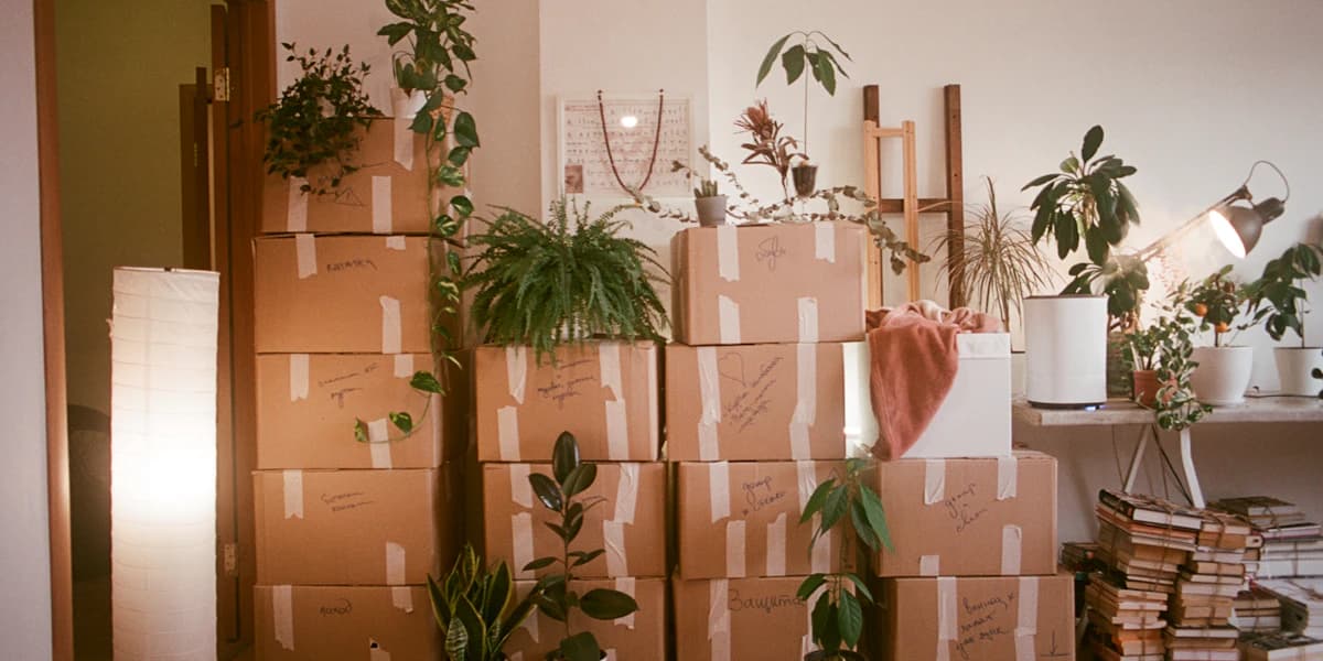 Moving an e-shop to a new platform without losing orders or search traffic