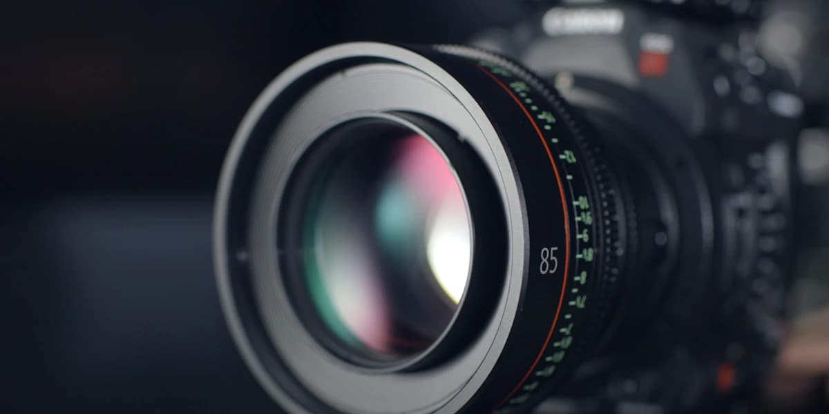 Photos for your website: what you need and how to prepare them