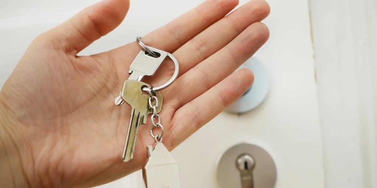 Who owns your domain, hosting and website code?